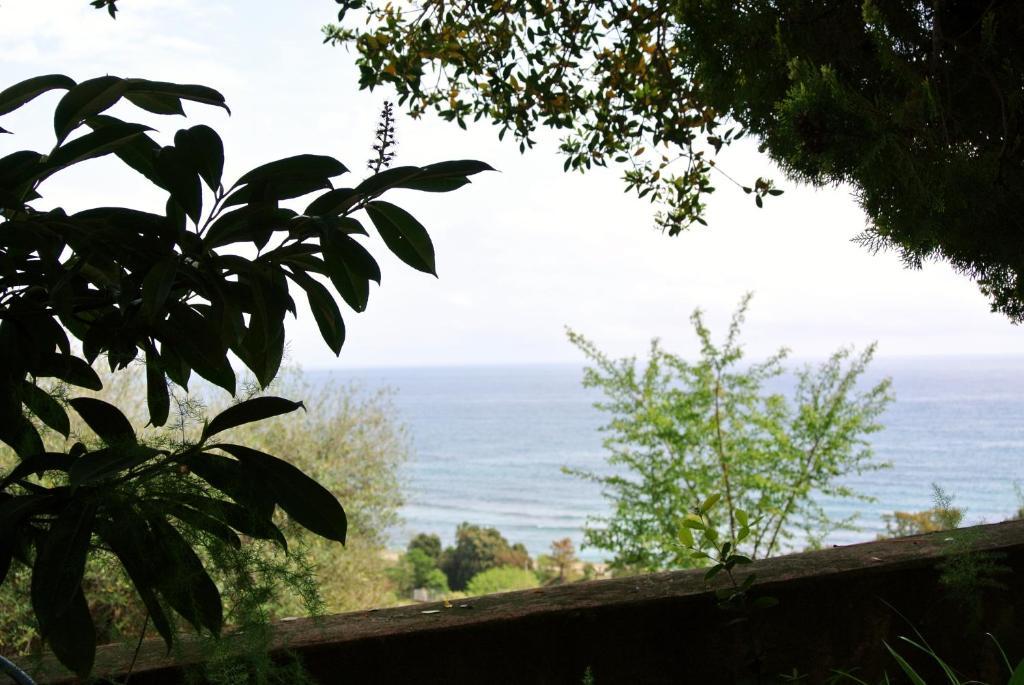 Hotel Residence San Pieru Tarcu Exterior foto